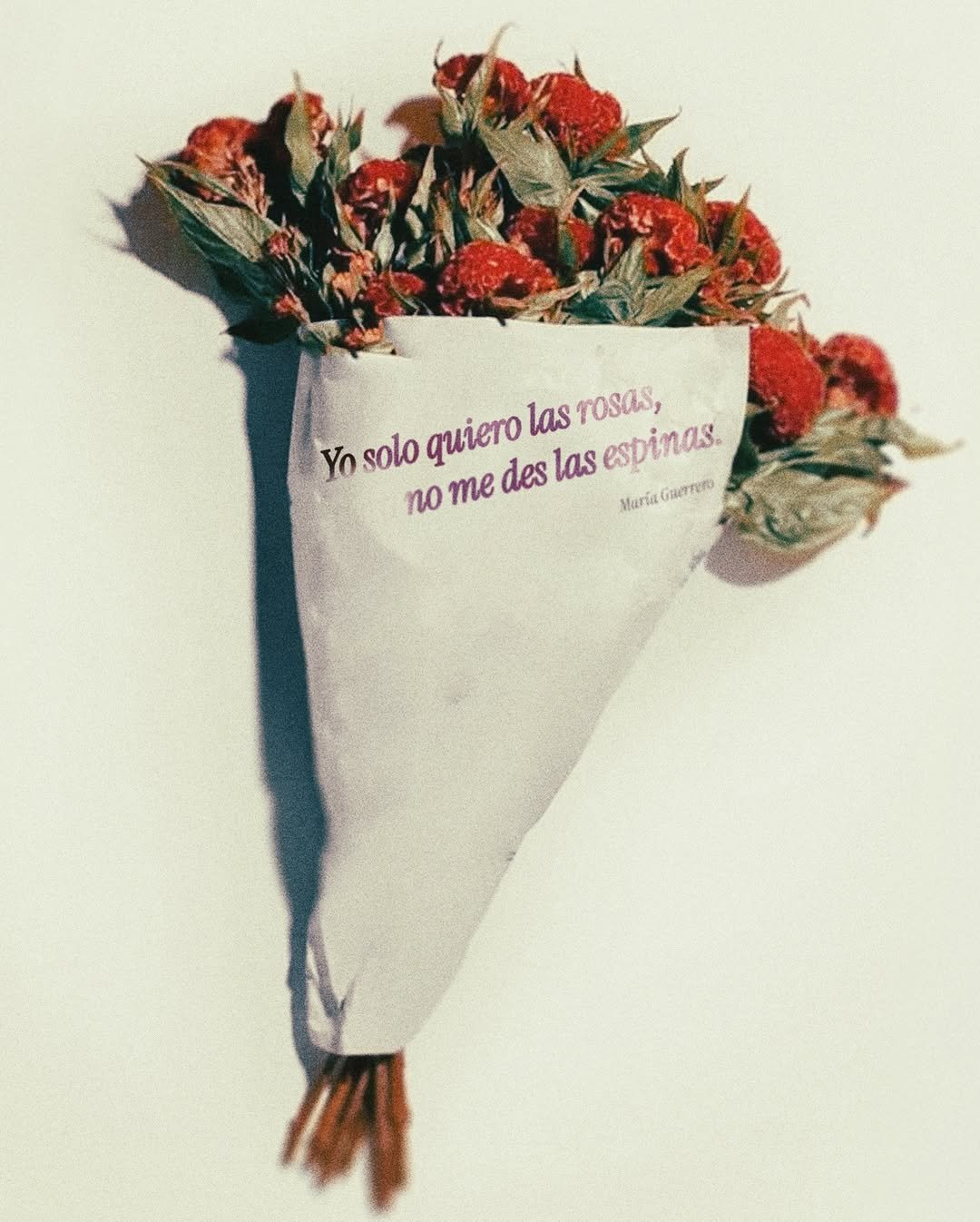 Yo solo quiero las rosas.